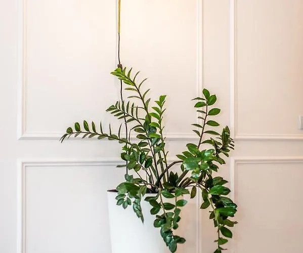 Apartament Super-apartamenty Andersia Vip Ii *